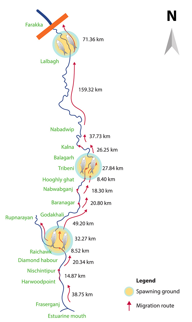 Towards An Ecosystems Approach To Fisheries Management Along The Bengal Coast