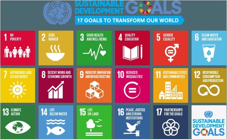 The Orf Sdgs Young Influencers Programme Insights From The Pilot