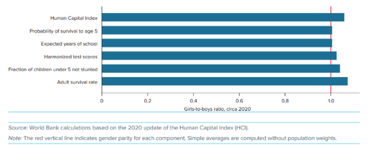 Bridging The Global Gender Chasm In 2024 Need For More Steam