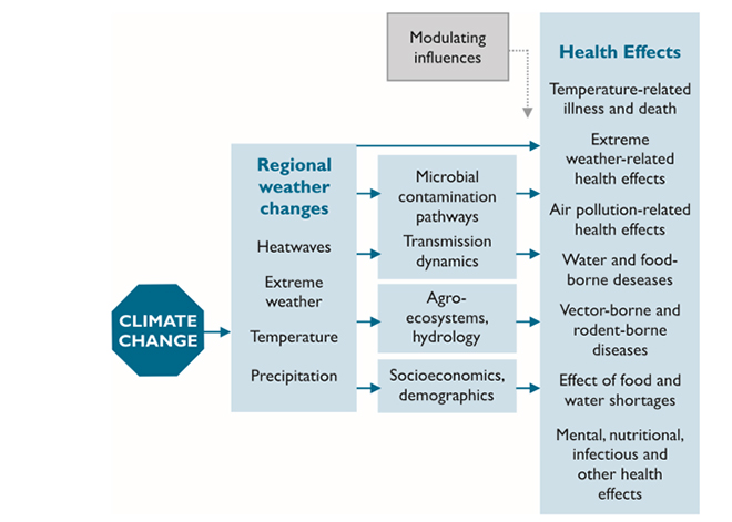 Climate Change And Healthcare In The Bimstec Countries Potential For Cooperation