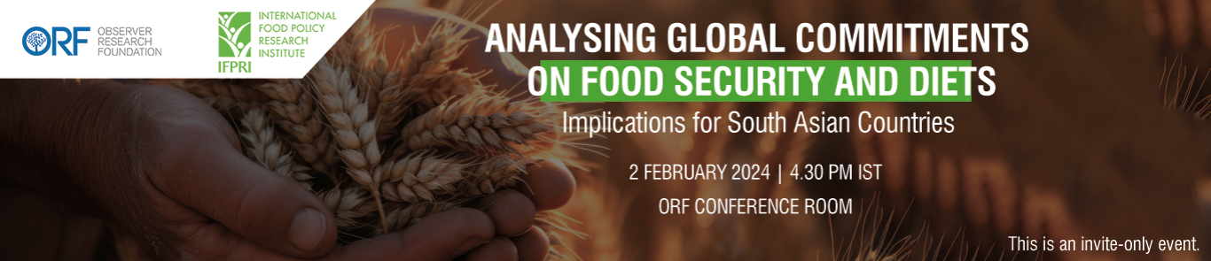 Analysing Global Commitments on Food Security and Diets: Implications for South Asian Countries