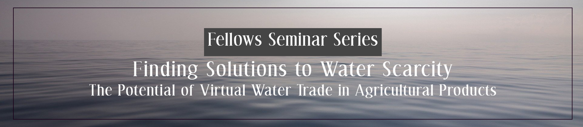 Fellows Seminar Series | Finding Solutions to Water Scarcity: The Potential of Virtual Water Trade in Agricultural Products