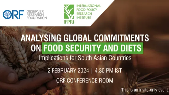 Analysing Global Commitments on Food Security and Diets: Implications for South Asian Countries