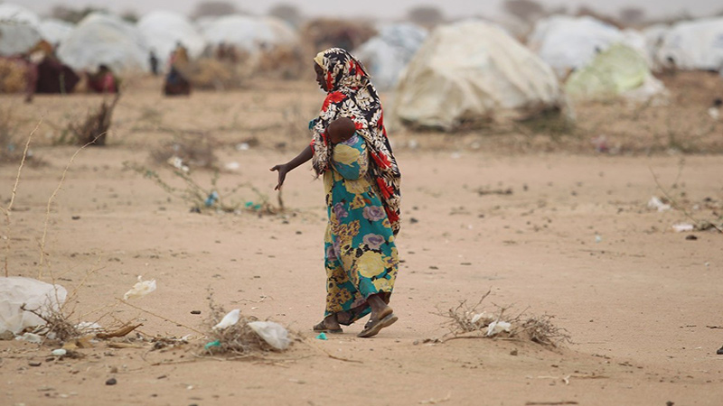 World famine crises: What should be our response?
