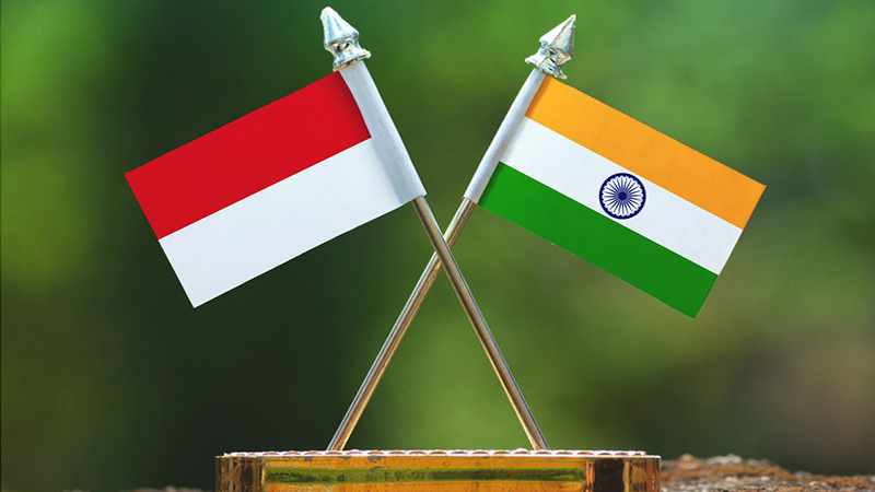 Discussion on India-Indonesia Cooperation in the Indo-Pacific