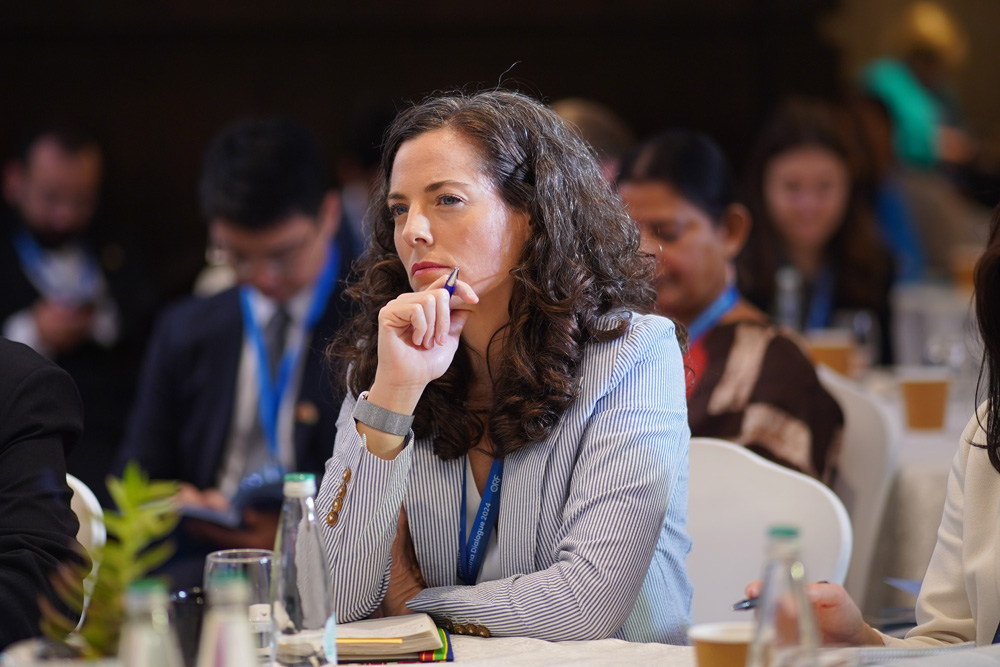 center Desecuritising Development: Resilience in the Indo-Pacific I Raisina Dialogue 2024