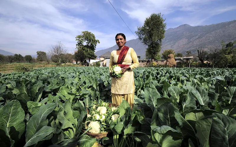 Making agriculture attractive, a major challenge for Modi Govt