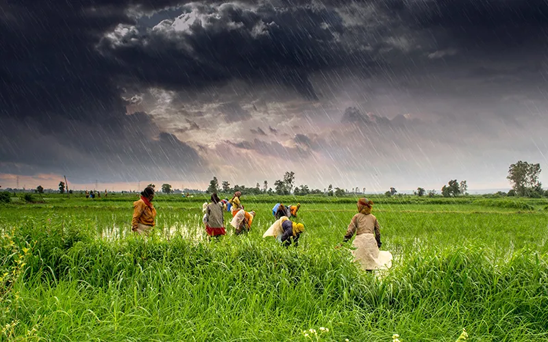 Monsoons to test Modi Govt's crisis management