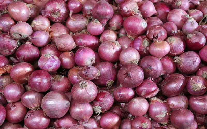 Onion prices and Indian politics 