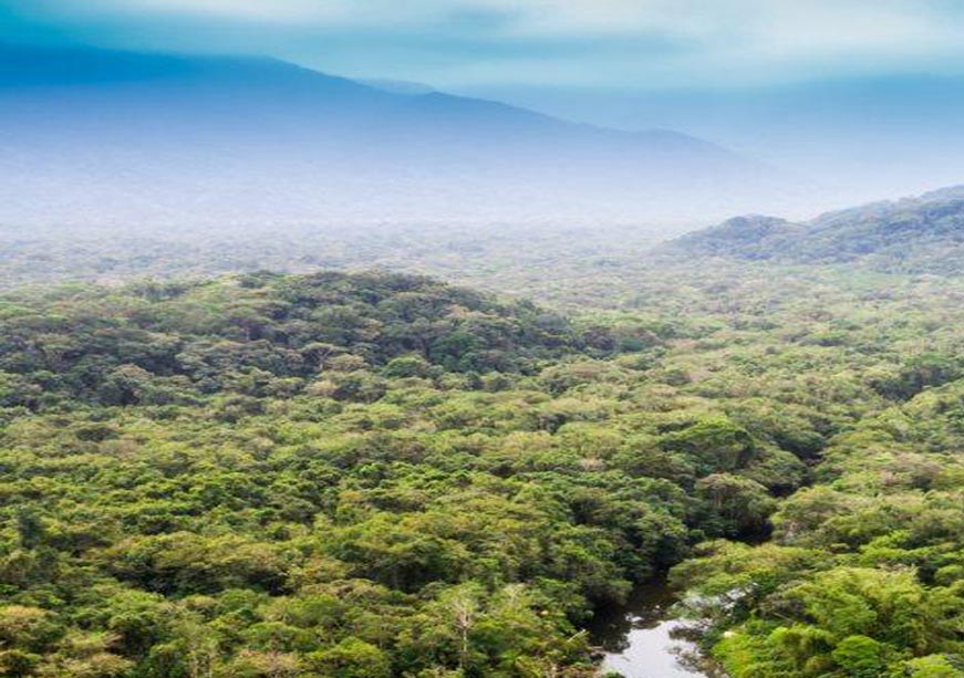 Potential or Peril: Carbon Trading in Africa