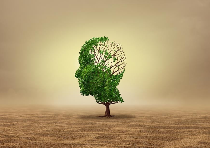 Decoding the Impact of Climate Change on Mental Health