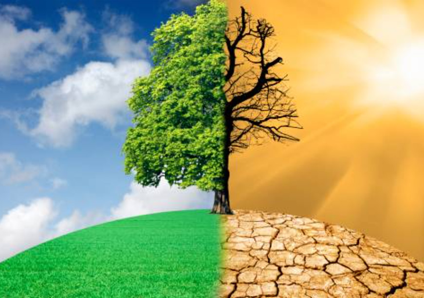 Parametric Insurance for Climate Change Adaptation