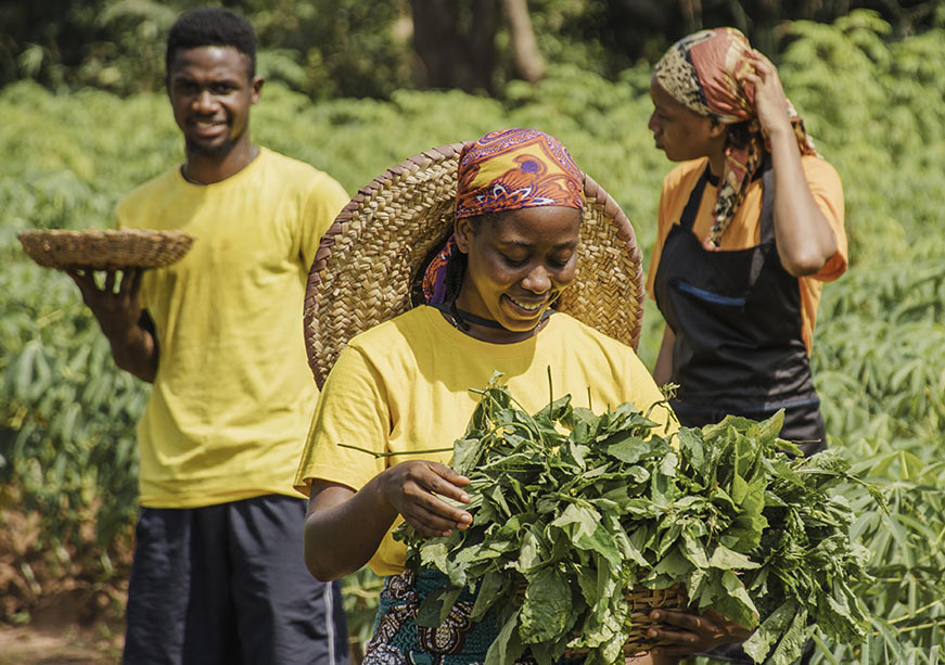 Africa’s Urban Future Needs Climate-Smart Food Systems