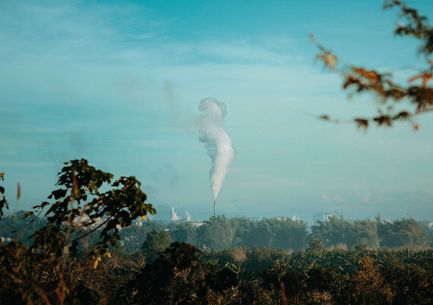 Cities Will Decide the World’s Environmental Future
