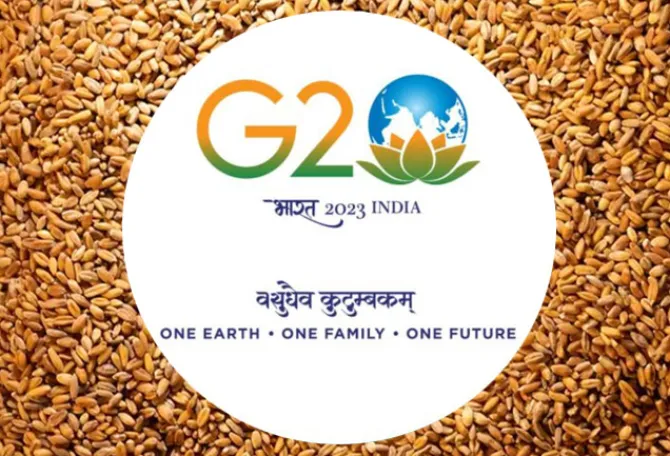 भारत की अध्यक्षता में बेहतर खाद्य सुरक्षा के लिए G20 का एजेंडा
