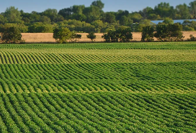 री-जेनेरेटिव कृषि: मिट्टी का स्वास्थ्य बेहतर करने का उपाय!