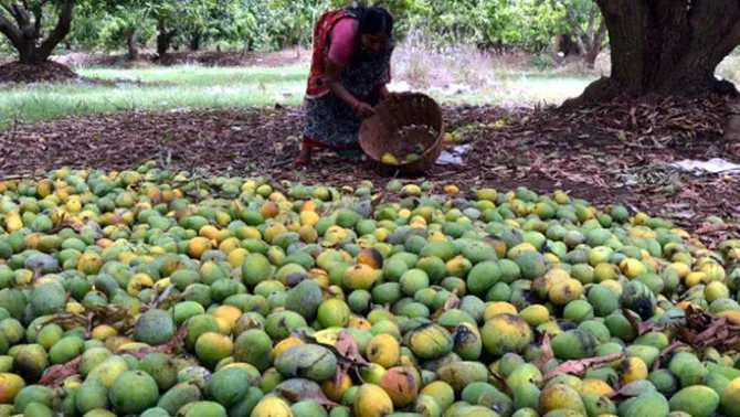 कोरोनाने केली कोकणाची कोंडी