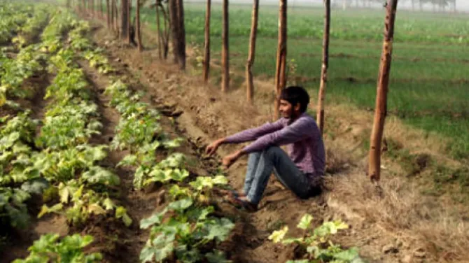 जलवायु परिवर्तन का मुक़ाबला: टिकाऊ खाद्य प्रणाली के हथियार से ही हो सकता है मुक़ाबला