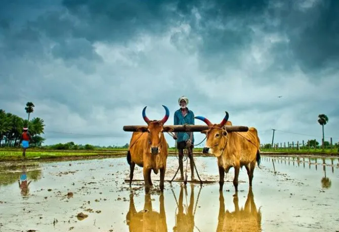 हवामान बदल आणि भारतीय शेतीसमोरील आव्हाने