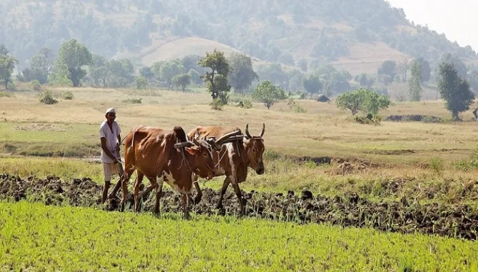 शेतकरी आजही आर्थिक पारतंत्र्यातच!