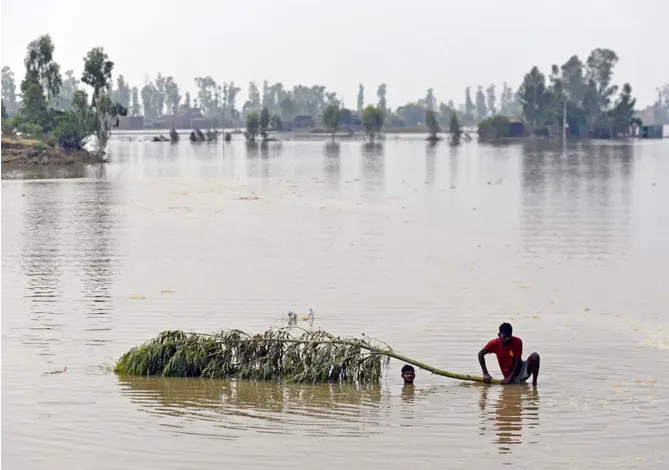 The Only Way to Make Climate Progress