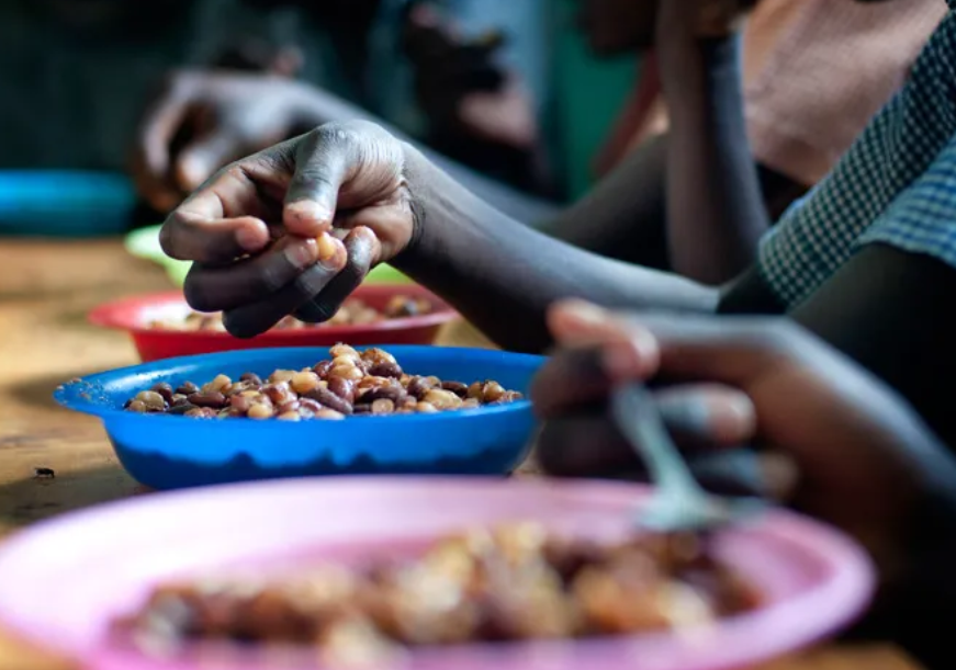 २०३० कडे वाटचाल: जागतिक अन्न सुरक्षा आव्हाने समजून घेताना