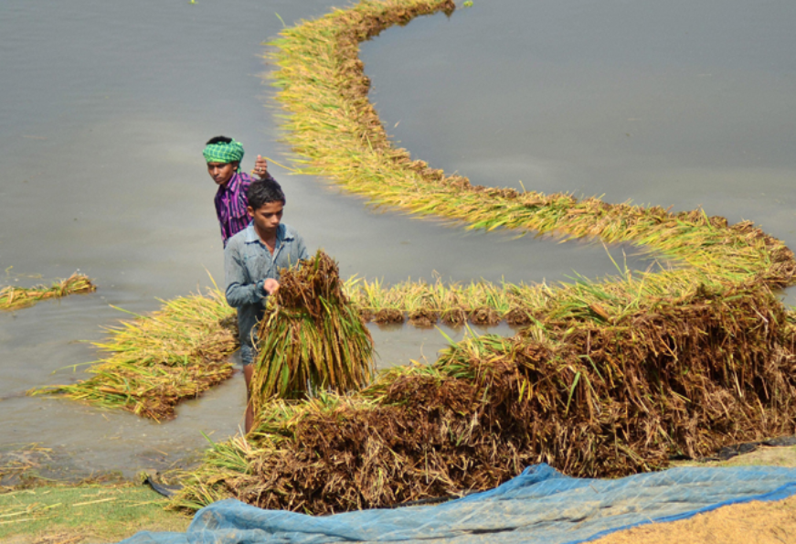 भारतीय कृषि क्षेत्र में पानी का उपयोग अनियंत्रित और अप्रभावी क्यों?