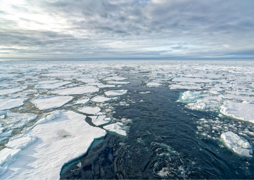 Arctic: The quasi-global common