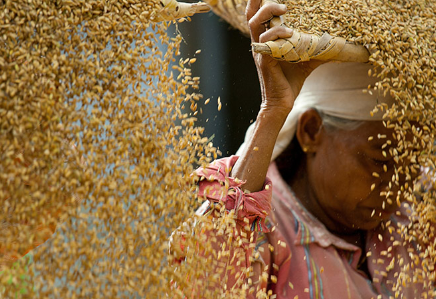 पश्चिम बंगाल में खाद्य सुरक्षा: अंतरराज्यीय स्थानांतरण और डिजिटलीकरण