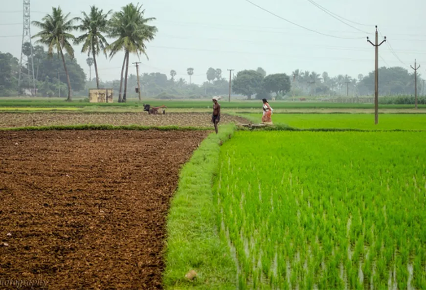 घिसे-पिटे कृषि सुधारों से लड़खड़ाती अर्थव्यवस्था को नहीं मिल सकती है स्थायी मज़बूती