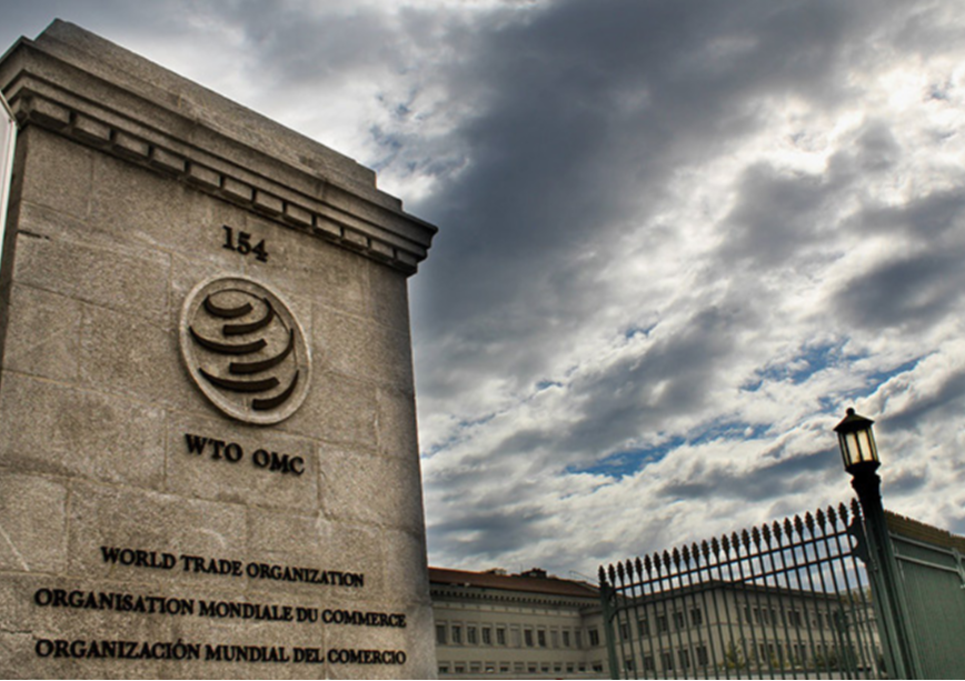 Investment Facilitation: the WTO’s legitimacy crisis
