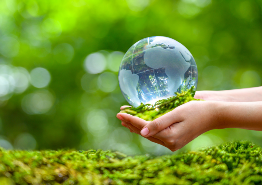 Climate conservation: Small steps for communities, giant steps for climate action