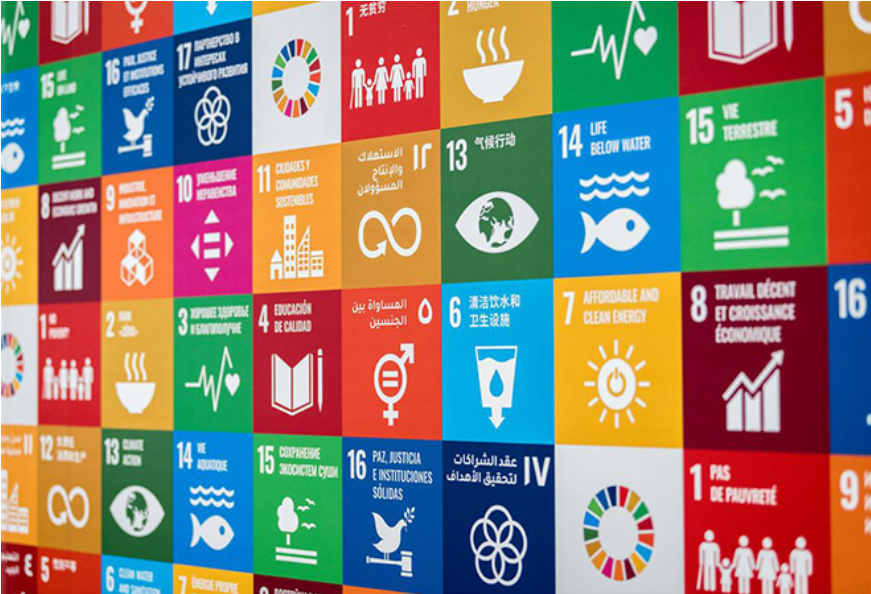 #SDG: सतत् विकास लक्ष्य को हासिल करने में विकासशील देशों के सामने चुनौतियां!