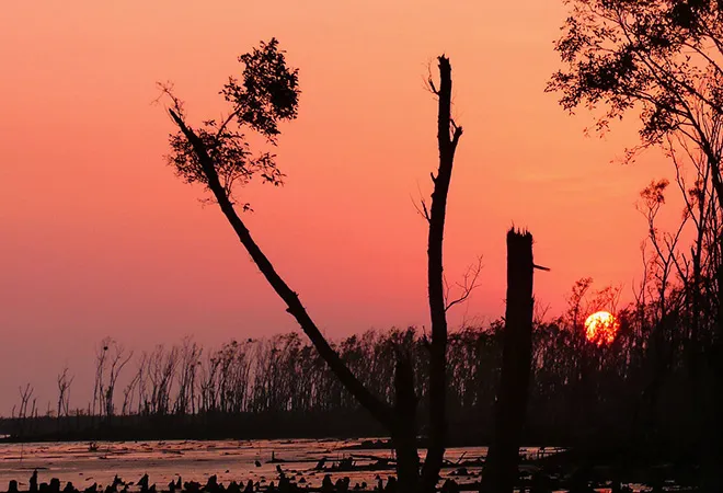Amphan, Sundarbans and an agenda for reconstruction