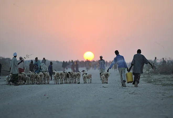 Need for a coherent development cooperation strategy to address food insecurity in India and Africa