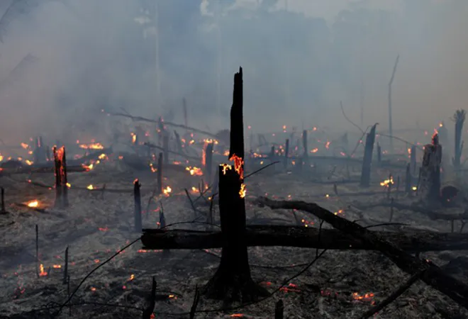 Amazon forest fires: The tragedy of the Global Commons