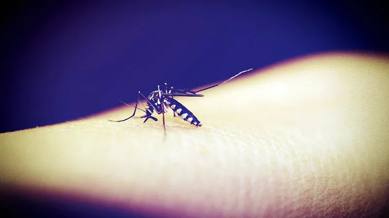 Dealing with vector borne diseases better: Learning from Sri Lanka's success with Malaria