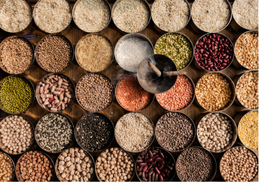 NourishNet: आपल्या भविष्यातील सुरक्षिततेचा पाया  