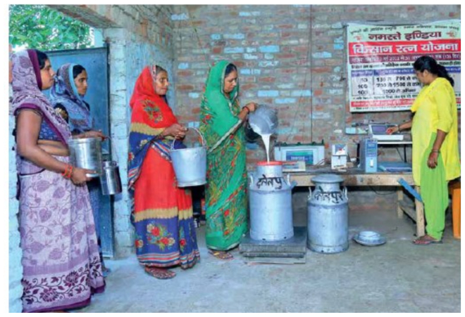 सपना सिंह: ‘दूधियों की धरती’ पर टेक्नोलॉजी के उपयोग की मिसाल पेश करती एक महिला डेयरी व्यवसायी!  