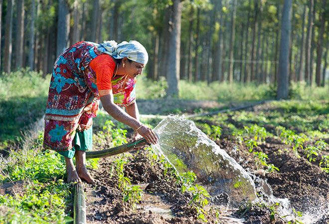 Virtual Water Trade in water intensive agriculture commodities: An alternative to interlinking of rivers?  
