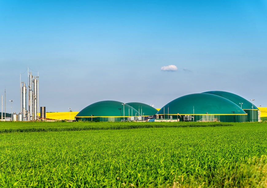 Addressing feedstock challenges to unlock India’s biofuel potential  