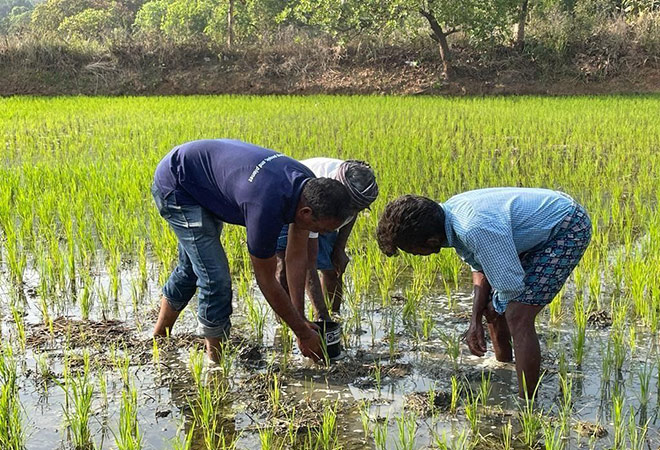 Enabling climate finance as a tool for inclusive economic growth  