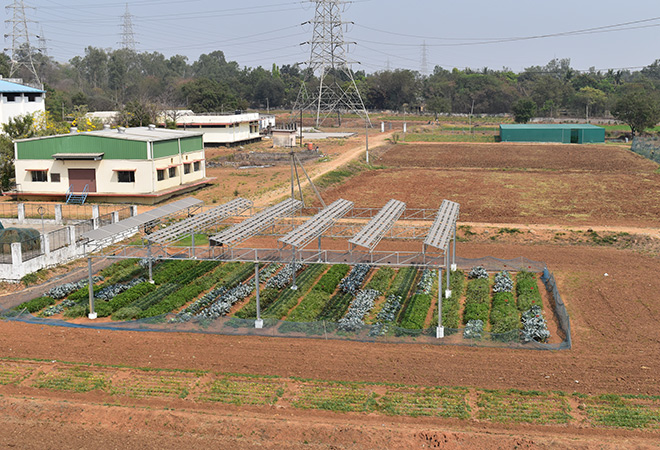 Harnessing the diverse use cases of solar energy  