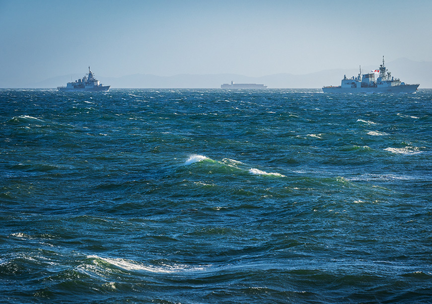 The High Seas Treaty: Prospects and challenges  