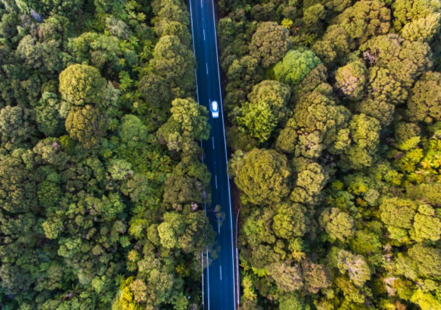 The long road to a green golden era  