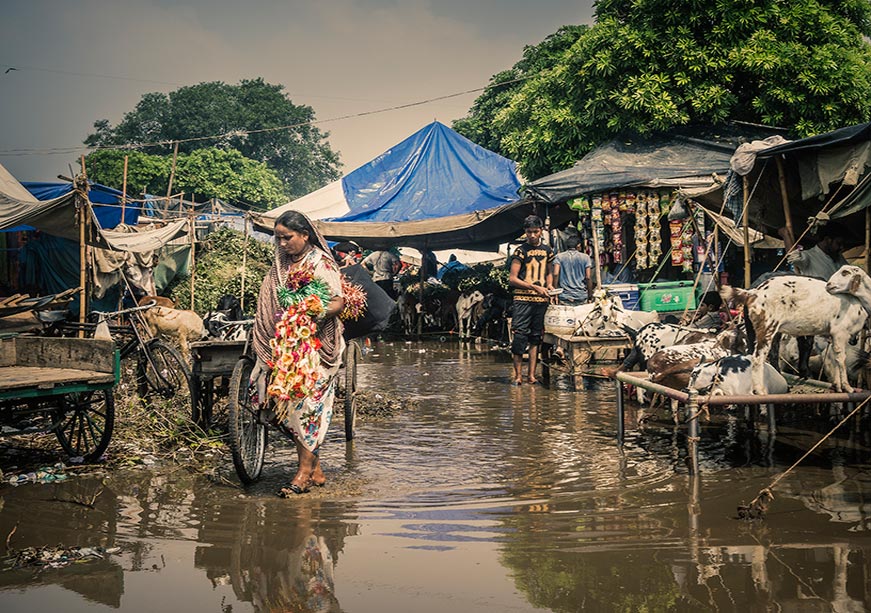 The Disaster Management (Amendment) Bill, 2024: A city-centric analysis