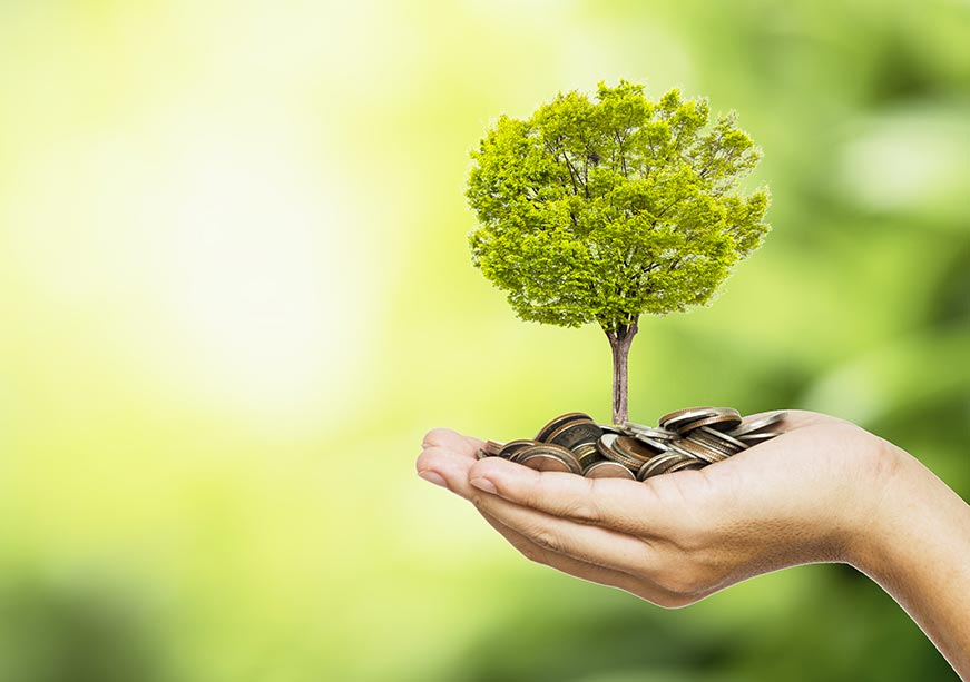 Putting LDCs at the heart of climate finance  