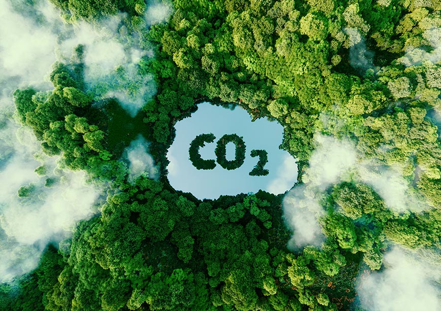 Carbon emission reduction: negotiating guilt  