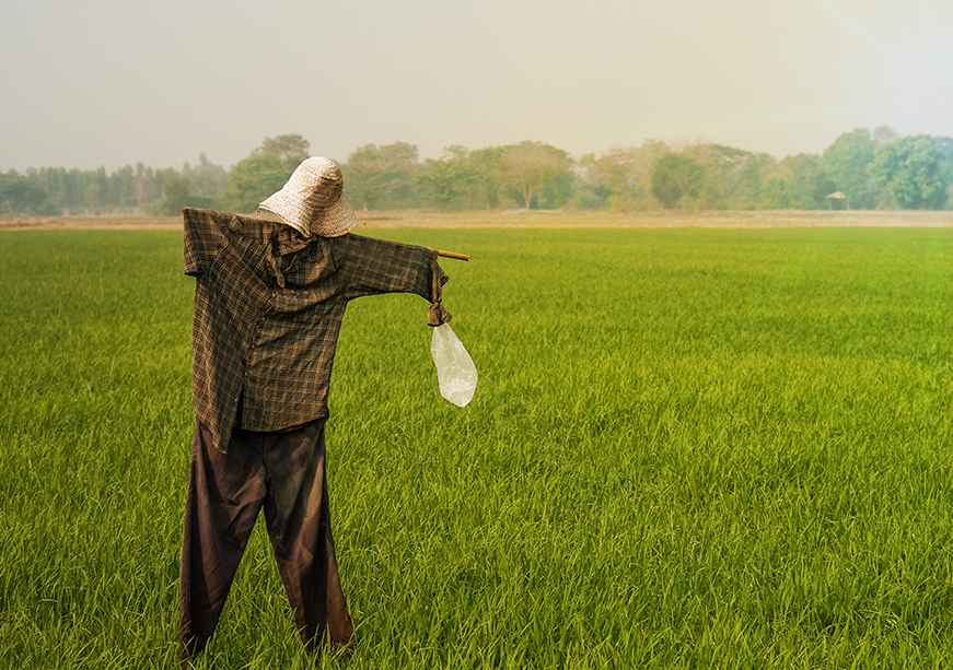 GMO चे नियमन : अन्न सुरक्षा सुनिश्चित करणे आणि कृषी दहशतवादाला आळा घालणे  