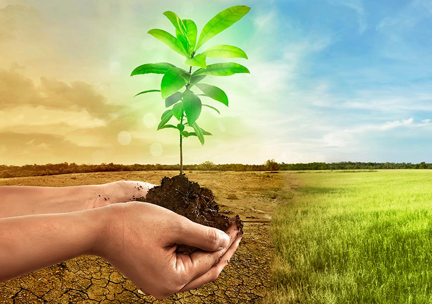 Scaling Climate Finance for locally-led Adaptation: lessons from the Global South  